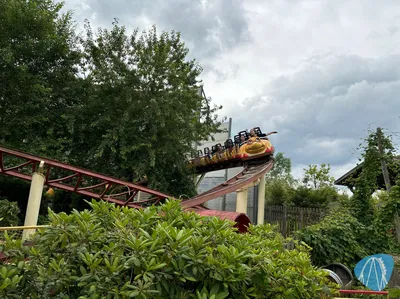 Foto aus Jaderpark von Ostseegirl