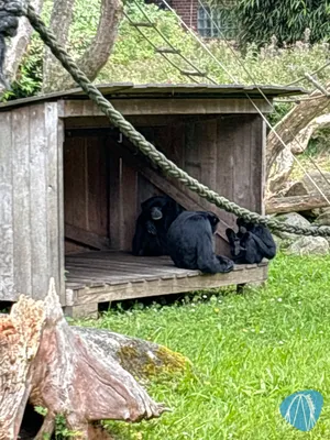 Foto aus Jaderpark von Ostseegirl