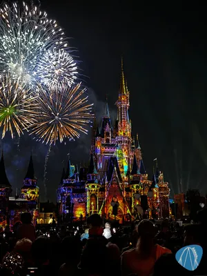 Foto aus Walt Disney World - Magic Kingdom Park von derzornigezorn