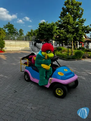 Foto aus Gardaland von Diddy