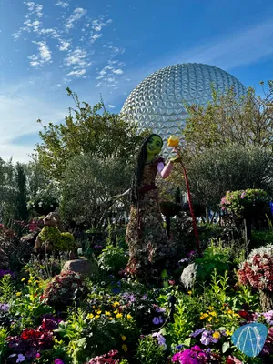 Foto aus Walt Disney World - Epcot von derzornigezorn