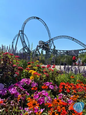 Foto aus Tripsdrill von derzornigezorn