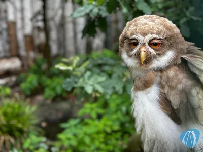 Foto aus Weltvogelpark Walsrode von derzornigezorn