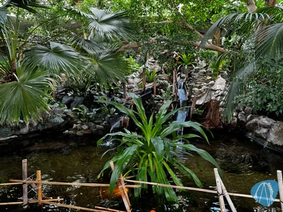 Foto aus Aqua Mundo Center Parcs Bispinger Heide von derzornigezorn