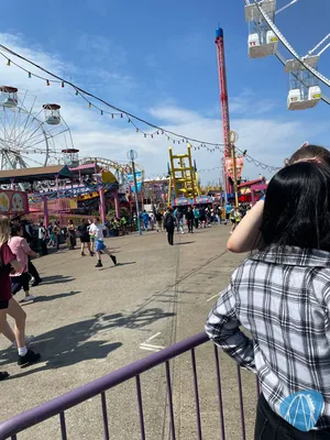 Foto aus Adventure Island von addicted