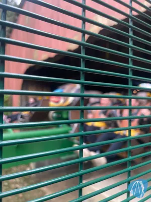 Photo from Chessington World of Adventures by Oliver2012!@