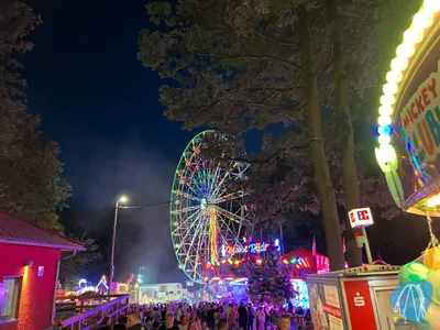 Foto aus Forchheim - Annafest von Highnoon