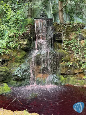 Photo from Chessington World of Adventures by Astaroth73