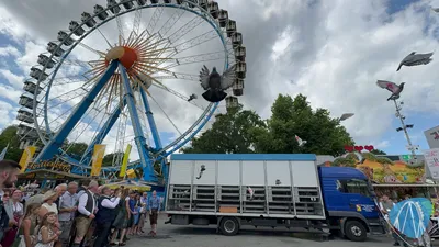 Foto aus Straubing - Gäubodenvolksfest von Sessel