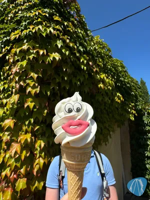 Foto aus Toverland von RollerCoasterBuhmaus