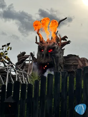 Foto aus Heide Park von Cyril09