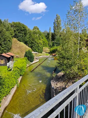 Foto aus Rasti-Land von AffigerAffe