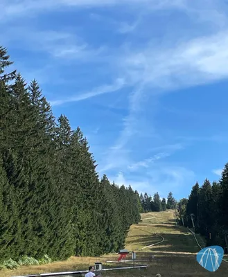 Foto aus Sommerrodelbahn Erbeskopf von Natascha Huber