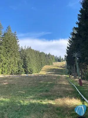 Foto aus Sommerrodelbahn Erbeskopf von Natascha Huber