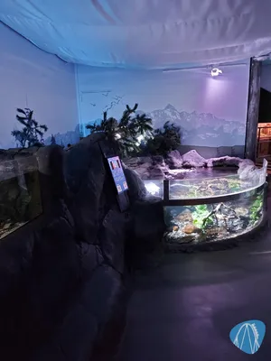 Foto aus SEA LIFE Konstanz von Chris92