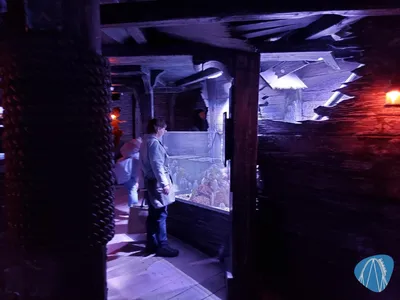 Foto aus SEA LIFE Konstanz von Chris92