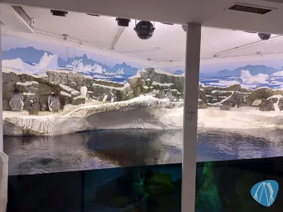 Foto aus SEA LIFE Konstanz von Chris92