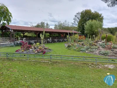 Foto aus Wild- und Freizeitpark Allensbach / Bodensee von Chris92