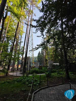 Foto aus Freizeit-Land Geiselwind von AffigerAffe