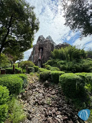 Photo from Disney's Animal Kingdom by tohe19811