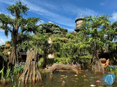 Foto aus Walt Disney World - Magic Kingdom Park von tohe19811