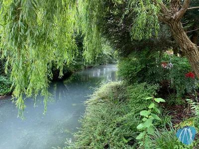 Foto aus Europa-Park von MaylaWaterlelie