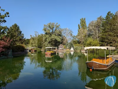 Foto aus Walygator Grand Est von jasi1983
