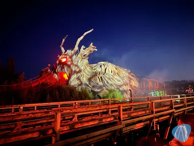 Foto aus Heide Park von Babyboomer