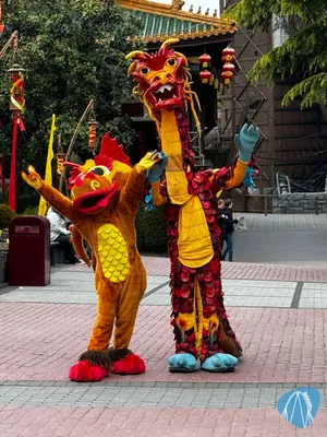 Foto aus Phantasialand von Diddy