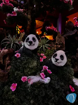 Foto aus Phantasialand von Diddy