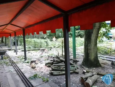 Foto aus Erse Park von Auxallie