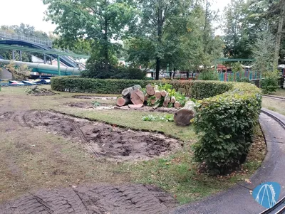 Foto aus Erse Park von Auxallie