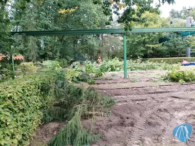 Foto aus Erse Park von Auxallie