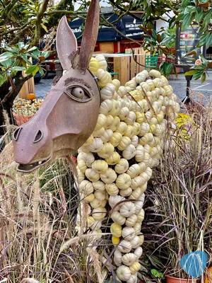 Foto aus Europa-Park von SvalguRok