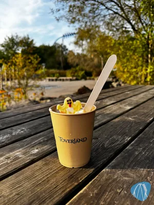 Foto aus Toverland von Diddy