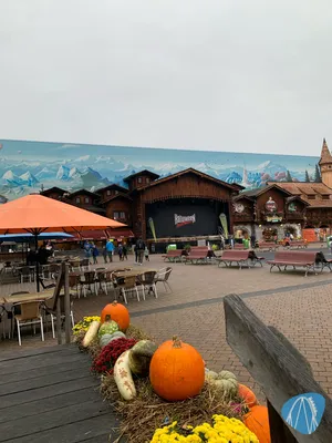 Foto aus Plopsaland Deutschland von Coaster_alpaka