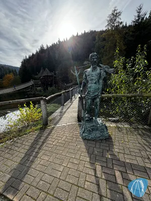 Foto aus Steinwasen Park von Diddy