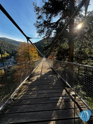 Foto aus Steinwasen Park von Diddy