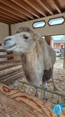 Foto aus Freizeitpark Märchenwald im Isartal von looping_Loui