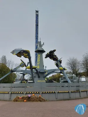 Photo from Walygator Grand Est by Die Jungmann's