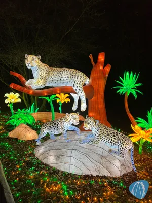 Foto aus Serengeti-Park von Babyboomer