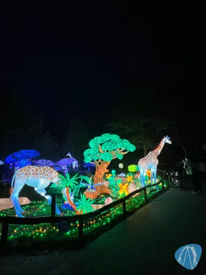 Foto aus Serengeti-Park von Babyboomer