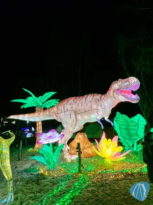 Foto aus Serengeti-Park von Babyboomer