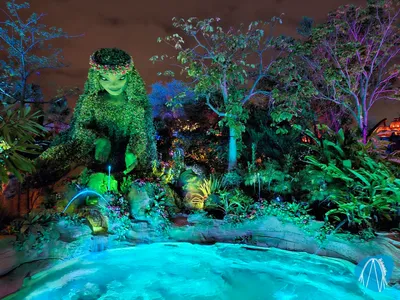 Photo from Disney's Animal Kingdom by Stefan95