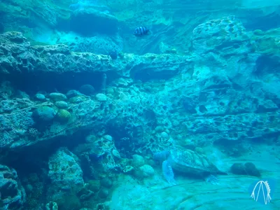 Foto aus Universal's Volcano Bay von Stefan95