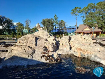 Foto aus Universal's Volcano Bay von Stefan95