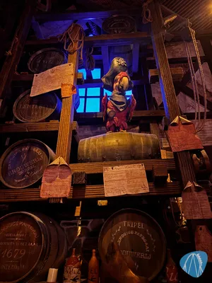 Foto aus Europa-Park von Diddy
