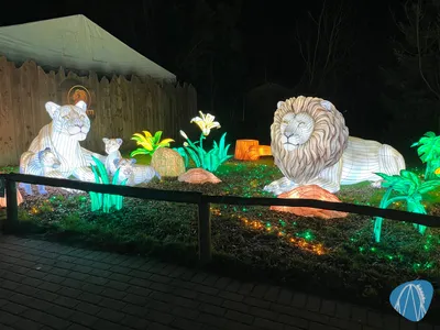Foto aus Serengeti-Park von marki 44319