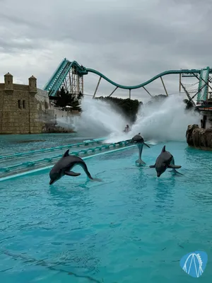 Foto aus Europa-Park von Stefan's-kleine-Welt
