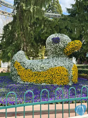 Foto aus Europa-Park von buecherwurm141